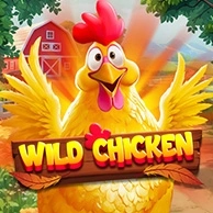 Wild Chicken