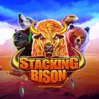 Playbison​ https://nieferie.pl/