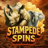 Stampede Spins