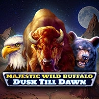 Majestic Wild Buffalo - Dusk Till Dawn