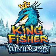 Kingfisher Winterborn