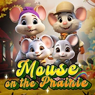 Mouse On The Prairie