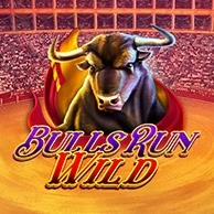 Bulls Run Wild