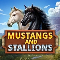 Mustang And Stallions