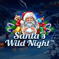 Santa’s Wild Night