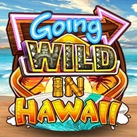 Going Wild in Hawaii