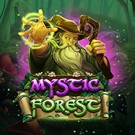 Mystic Forest