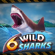 6 Wild Sharks