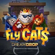 Fly Cat