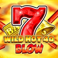 Wild Hot 40 Blow