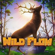 Wild Flow