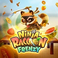 Ninja Raccoon Frenzy