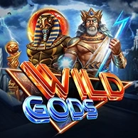 Wild Gods