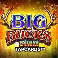 Big Bucks Deluxe Tapcards