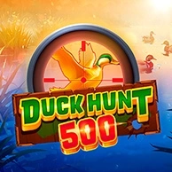 Duck Hunt 500