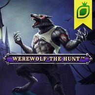 Werewolf - The Hunt