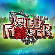 Wild Flower