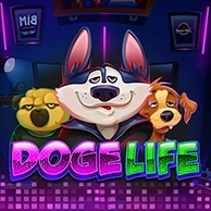 Doge Life