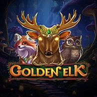 Golden Elk