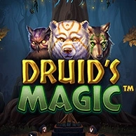 Druid’s Magic