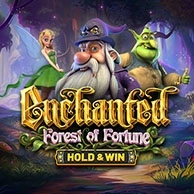 Enchanted: Forest Of Fortune