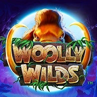 Woolly Wilds