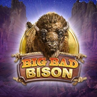 Playbison​ http://remescup.pl/