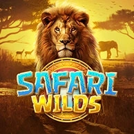 Safari Wilds