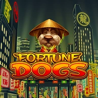 Fortune Dogs