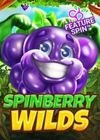 Spinberry Wilds