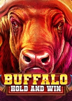 Buffalo Hold and Win