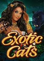 Exotic Cats