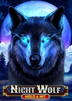 Night Wolf - Hold & Hit