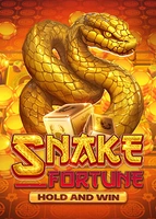 Snake Fortune Hold and Win