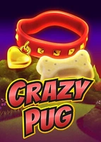 Crazy Pug