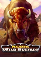 Majestic Wild Buffalo