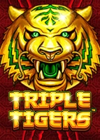 Triple Tigers™