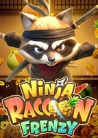 Ninja Raccoon Frenzy