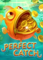 Perfect Catch