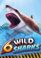 6 Wild Sharks