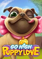 Go High Puppy Love