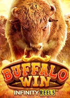 Buffalo Win