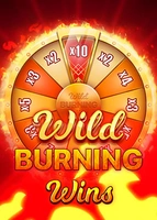 Wild Burning Wins: 5 Lines