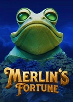 Merlin's Fortune