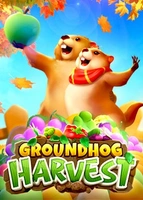Groundhog Harvest