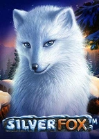 Silver Fox