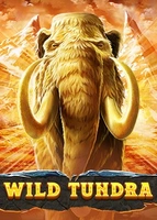 Wild Tundra