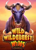 Wild Wildebeest Wins