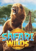 Safari Wilds