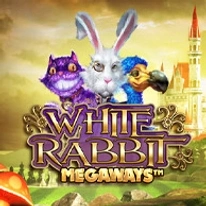 White Rabbit